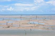Mangue seco e lagoas na praia do Farol de São João, nas Reentrâncias Maranhenses - MA